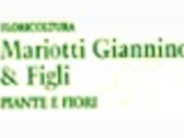 FLORICOLTURA MARIOTTI GIANNINO & FIGLI