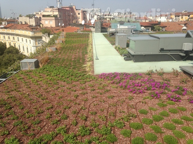 GreenRoof 