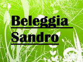 Beleggia Sandro
