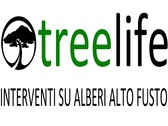Treelife Di Igor Cosolo