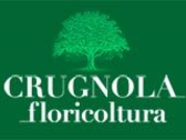 Floricoltura Crugnola Snc