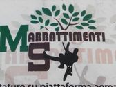 Logo Ms Abbattimenti