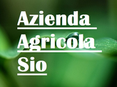 Azienda Agricola Sio