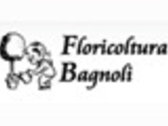 BAGNOLI FLORICOLTURA