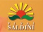 VIVAI SALDINI