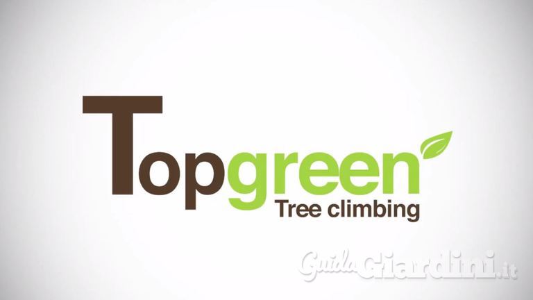  Dimostrazione di tree climbing