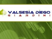 Diego Valsesia Girdini