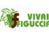 VIVAI FIGUCCIA