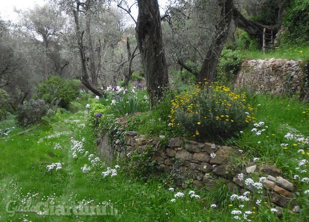 Giardino Ligure