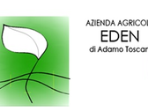 Azienda Agricola Eden Di Adamo Toscani