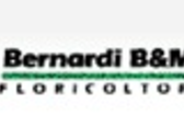 BERNARDI B. & M.