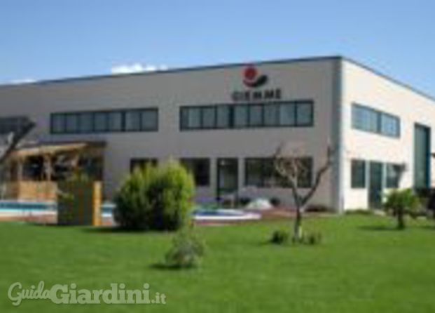 Azienda