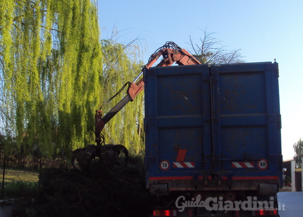 Carico e trasferimento residui di potature