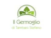 Il Germoglio di Tambani Stefano