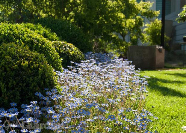 Giardini & Terrazzi 2012