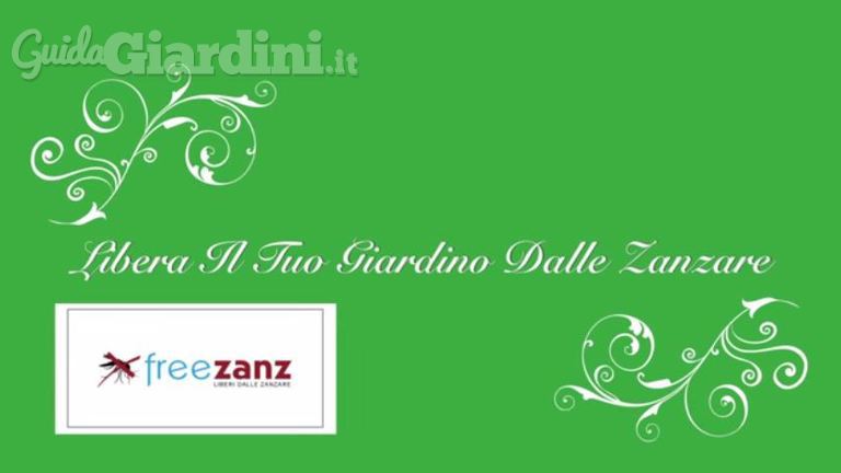 Ecco come eliminare le zanzare dal giardino