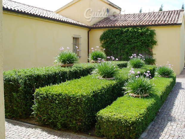 giardino Green Lawn 