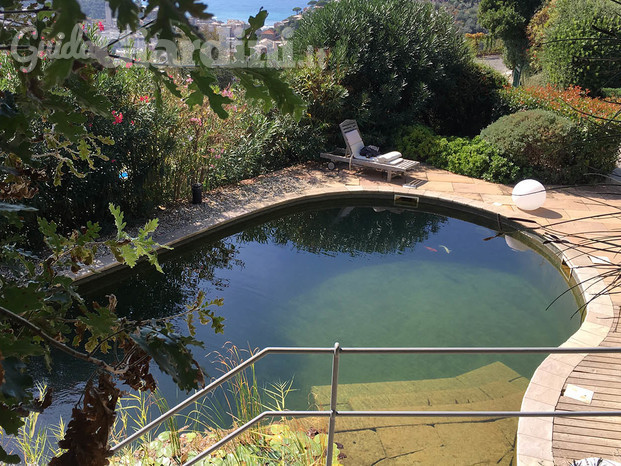 Progettazione giardino con piscina naturalistica