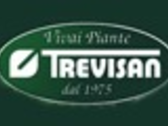 VIVAI TREVISAN