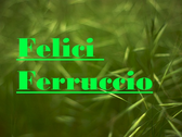 Felici Ferruccio