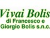 VIVAI BOLIS