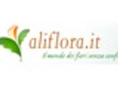 ALIFLORA