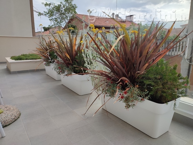 Realizzazione terrazzo con piante mediterranee