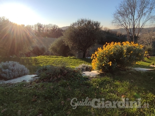 Realizzazione giardino immerso nel paesaggio