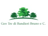 Logo Geo Tre di Bandieri Bruno e C.