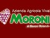 VIVAI MORONI