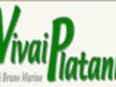 Vivai Platani