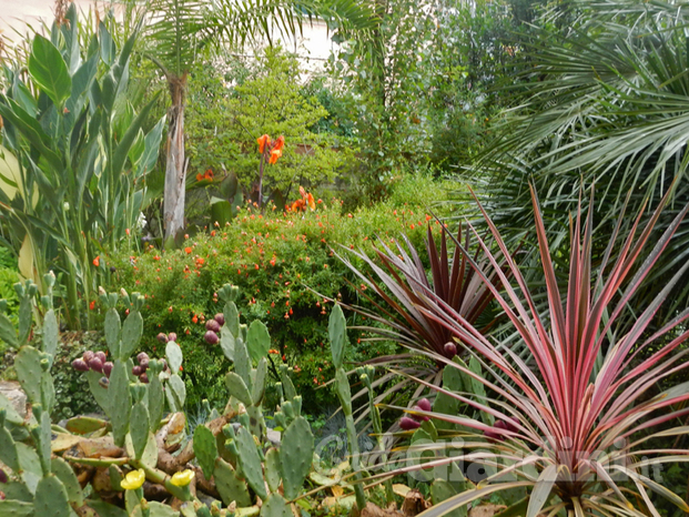 Giardino esotico