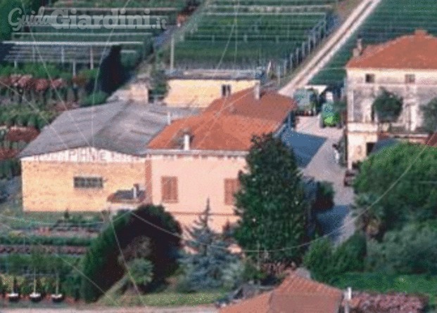 Azienda