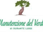 Manutenzione Del Verde