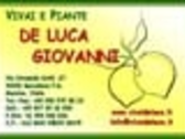 Vivai E Piante De Luca Giovanni
