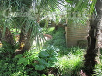 Studio Natura