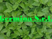 Germina S.r.l.