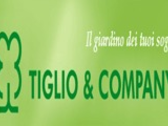 Tiglio And Company