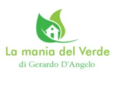 La mania del Verde di Gerardo D'Angelo
