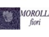 MOROLLI FIORI