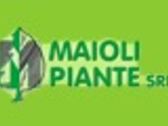 MAIOLI PIANTE