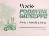 Vivai Podavini Giuseppe