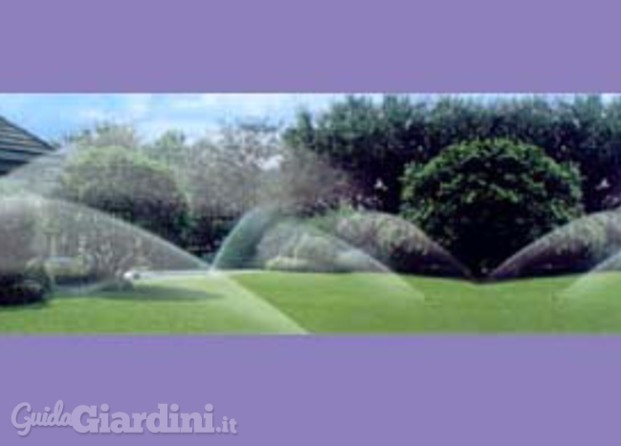 Giardini