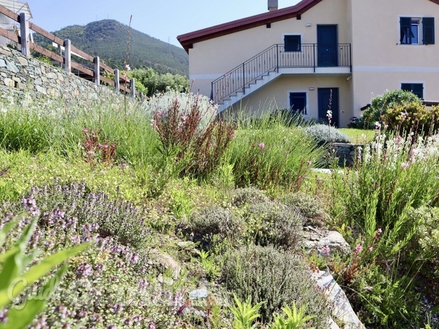 natural gravel garden.jpg