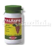 Salvavin Compresse Catalogo ~ ' ' ~ project.pro_name