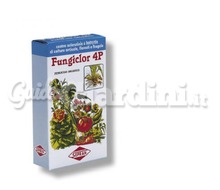 Fungiclor 4 P - Prodotto Anti-crittogamico Catalogo ~ ' ' ~ project.pro_name