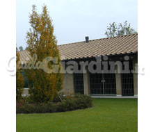 Giardino Catalogo ~ ' ' ~ project.pro_name